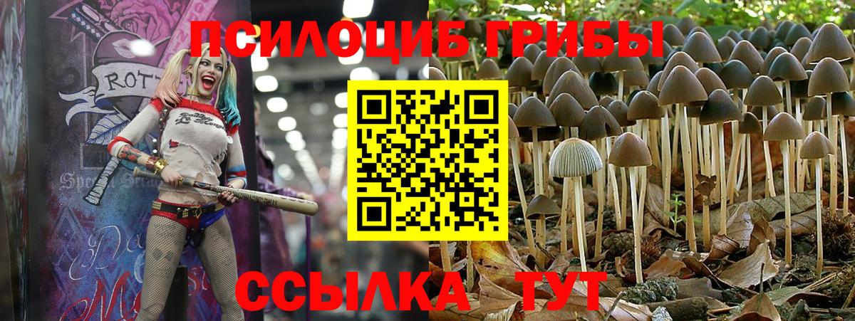 Галлюциногенные грибы мухоморы Боровичи