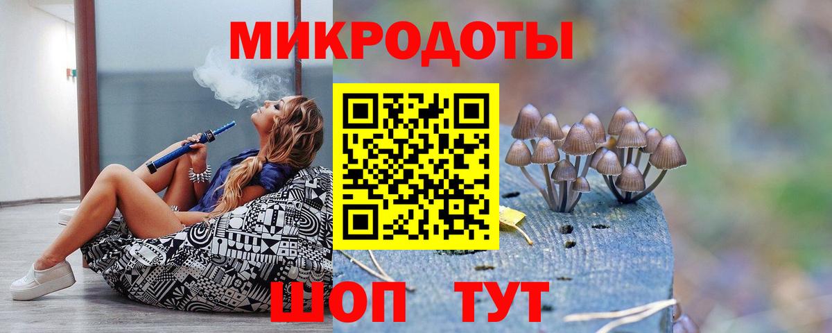 Галлюциногенные грибы Psilocybe  Вход с VPN  Боровичи 